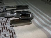 IMG_7500.JPG