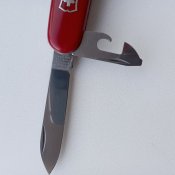 IMG_20231005_115404.jpg