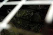 dsc_0274.jpg