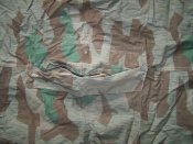 2007295.jpg