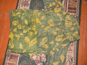 DSCN7547.JPG