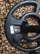 IMG_20231010_201235.jpg