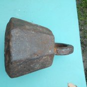 IMG_20231015_124516_752.jpg