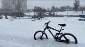 IMG_3736.jpeg