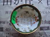 DSC02310.JPG