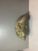 Revision desert locust multicam