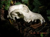 DSCN4958.JPG