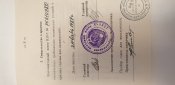 Коллиматорный визир,  прицел  К10-Т. Идеал.