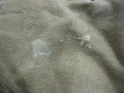 IMG_5158.JPG