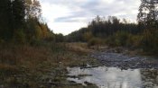 DSC03723.jpg