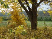 DSC01648.JPG