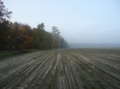DSC01647.JPG