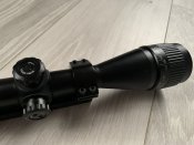 IMG_5053.jpeg