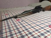 IMG_9501.jpeg