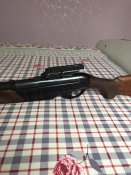 IMG_9502.jpeg