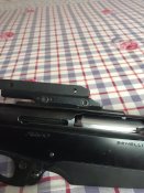 IMG_9503.jpeg