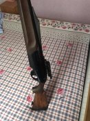 IMG_9504.jpeg
