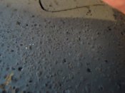 DSC01665.JPG
