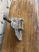 IMG_5903.jpeg