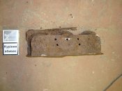 DSC01261.JPG