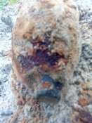 IMG_20131013_163844_1.jpg