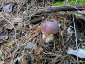 IMG_20130928_162615.jpg