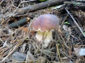 IMG_20130928_162624.jpg