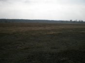 PA130144.JPG