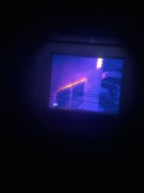 IMG_2295.jpeg
