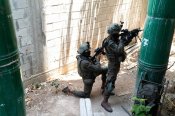 Дувдева́н Отряд 217 («вишня») — элитное спецподразделение Армии обороны Израиля (ЦАХАЛ).