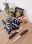 31#Ц  Новые ножи тм Pradel France
