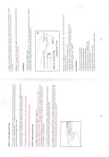 Image (10).jpg