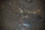 80498536-FE00-48C6-A15C-BC87AB31FF49.jpeg