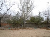 DSCN4780.JPG
