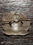 Кокарда ЗС України після 1993