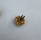 IMG_0031.jpeg