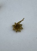 IMG_0036.jpeg