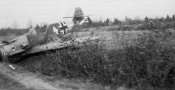 jg53_white4_001.jpg