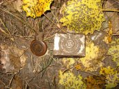 tn_IMG_0910.jpg