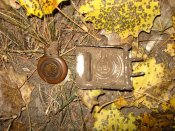 tn_IMG_0911.jpg