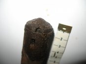 IMG_6290.JPG
