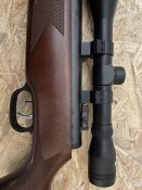 IMG_2979.jpeg