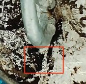 Пилоточная кокарда Waffen SS.