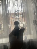 IMG_4037.jpeg