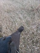 20231111_074331.jpg