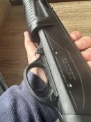 IMG_2330.jpeg