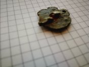 IMG_20231120_113501.jpg