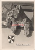 Geschwaderlowe.jpg