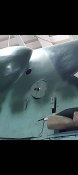 Лючок и немного запчастей с Мессершмита Ме 109