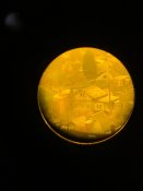 IMG_2869.jpeg